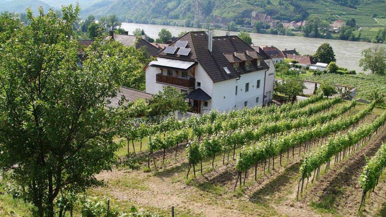 Weingut & Gaestezimmer Pammer Mitterarnsdorf Exterior photo
