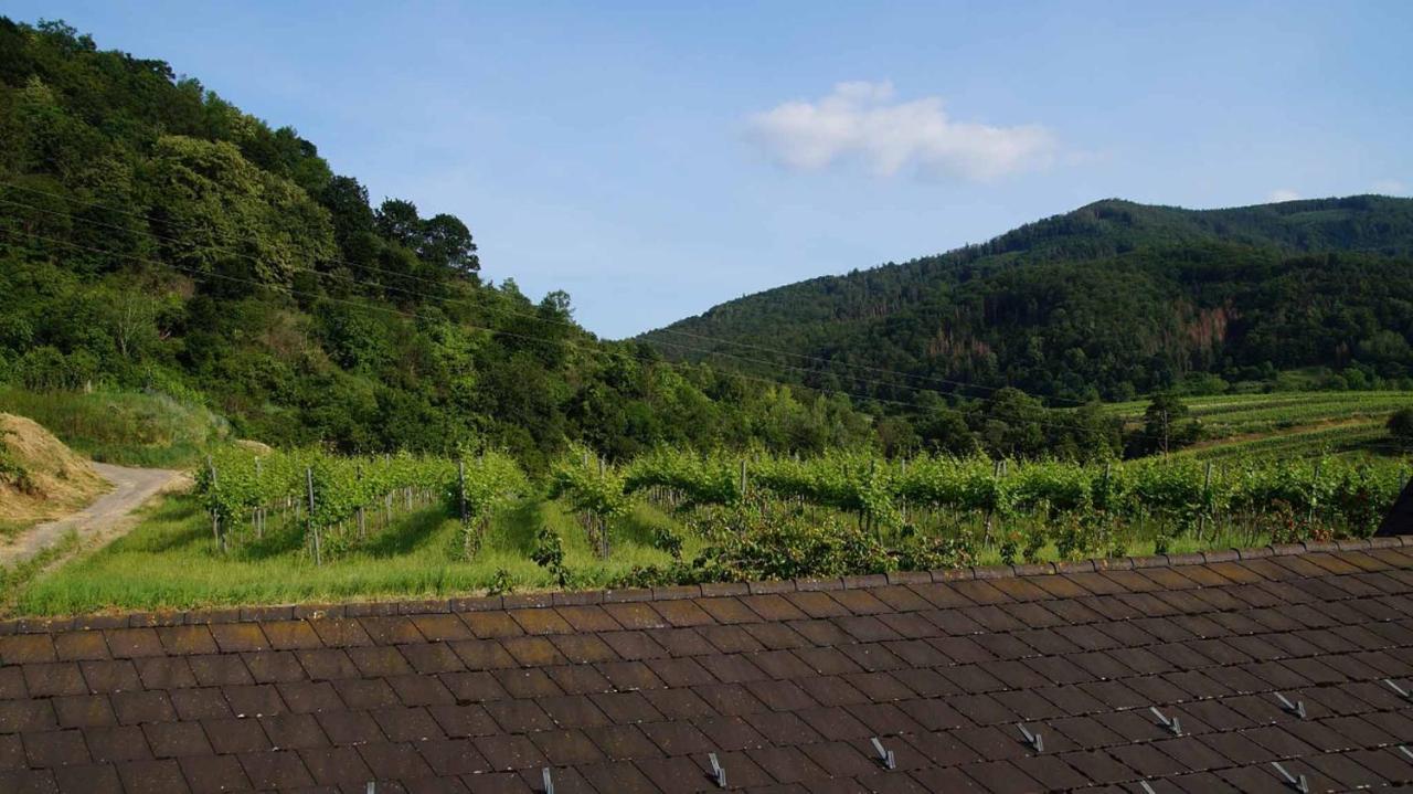 Weingut & Gaestezimmer Pammer Mitterarnsdorf Exterior photo